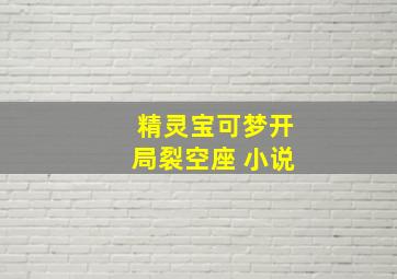 精灵宝可梦开局裂空座 小说